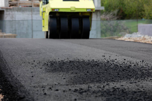 Best Driveway Paving Contractor  in Olivehurst, CA