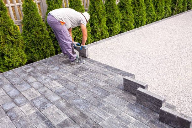 Best Driveway Paving Near Me  in Olivehurst, CA